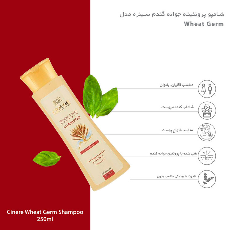 شامپو تقویتکننده مو سینره (Wheat Germ) 250 میلیلیتر مناسب انواع مو حاوی ویتامین E و B5